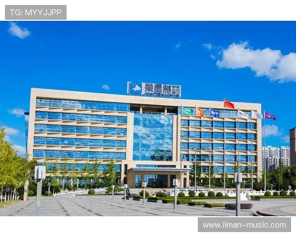 凯发中国客户服务与支持体系全方位解读确保玩家权益与优质体验