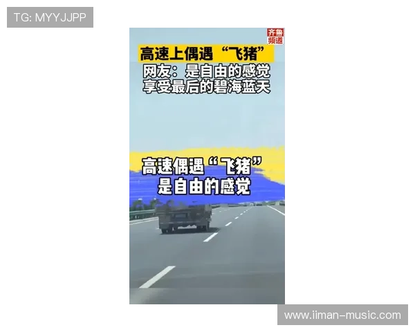 加入凯发5G电游,享受极速充值提现服务,确保每一次游戏体验都顺畅无忧 加入凯发5G电游,享受极速充值提现服务,确保每一次游戏体验都顺畅无忧